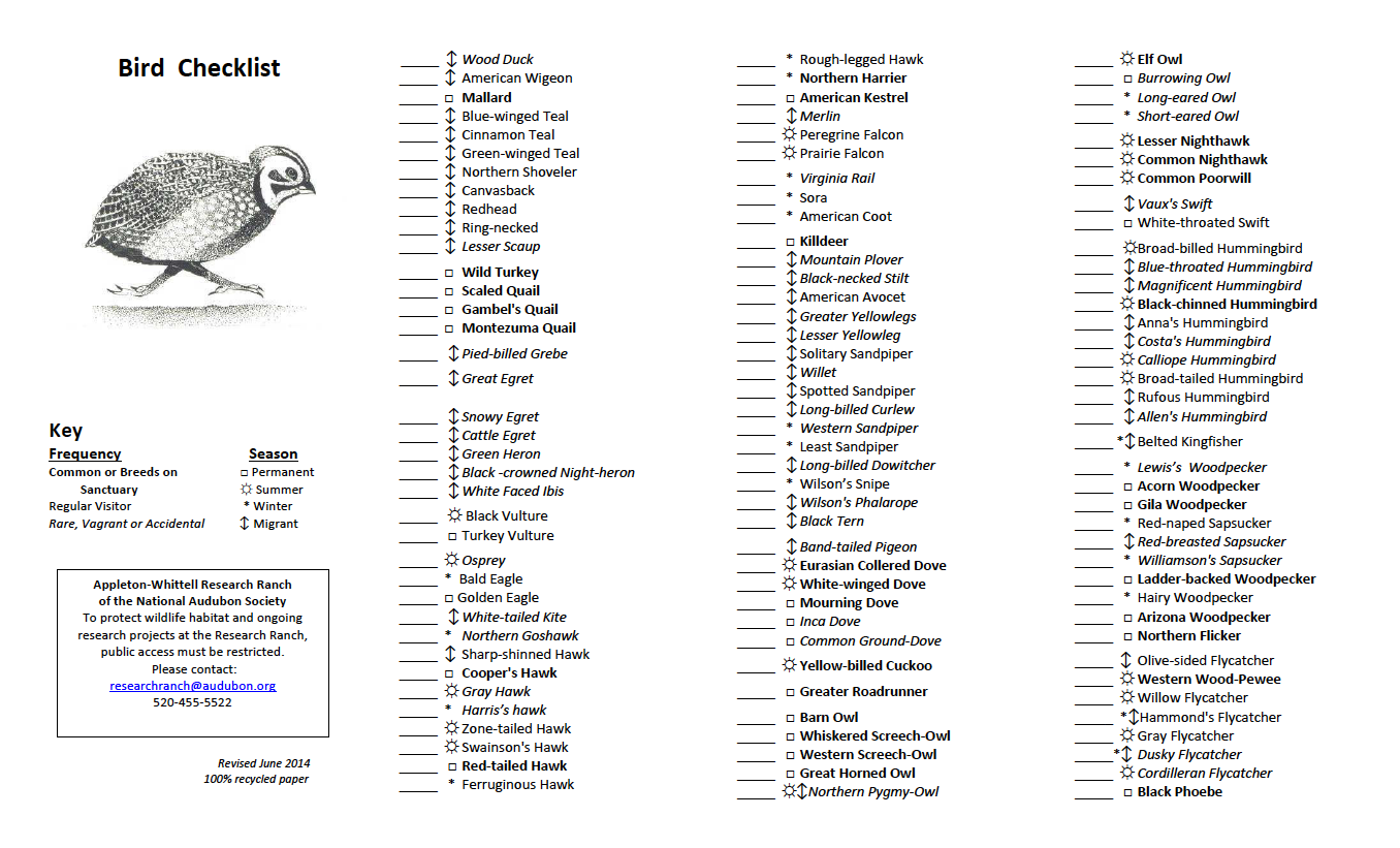 Printable Bird Watching Checklist